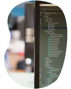 Programvare Nettplattformprogramvare